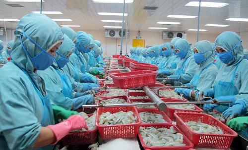 WTO công bố phán quyết vụ kiện tôm giữa Việt Nam và Mỹ